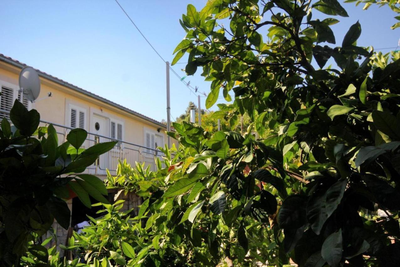Guesthouse Gradina Loviste Bagian luar foto